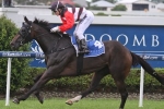 Brave Ali To Be Suited In Ipswich Cup