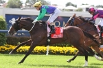 Thompson Hoping For Firm Track In Rosehill Guineas 2014