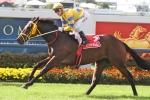 Margins Continues Road to Brisbane Cup