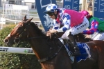 Purton to put Fell Swoop in the finish of the Doomben 10,000