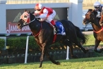 Pride could have 3 runners in QTC Cup