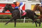 Amexed on target for the Queensland Derby after Rough Habit Plate win