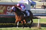 Sea Siren primed to win back to back BTC Cup