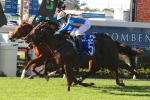 Deep Image to take on Winning Rupert in Gold Edition Plate