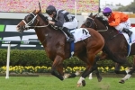 Counterattack On Track For Stradbroke Handicap After Fred Best Classic Win