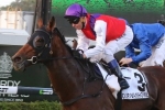 2016 Melbourne Cup Form: Our Ivanhowe Ready to Peak