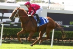 Into The Red draws nicely at barrier 2 in Ramornie Handicap