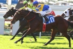 Peace Force beats stablemate Solicit in Glenlogan Park Stakes