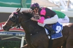 Eastern Prince beats the favourite in Queensland Day