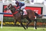 Zoustar Included In Caulfield Guineas Second Acceptances