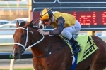Mackintosh remains unbeaten for Waller with Grand Prix Stakes win