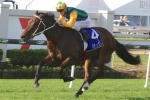 Ball Of Muscle In Challenge Stakes Field