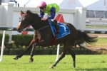 Master Of Arts out of Queensland Derby