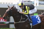 Flippant Bounces Back In Wyong Magic Millions Stakes