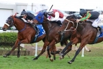 Jetset Lad Claims One for the Locals in Brisbane Cup