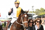 Waller has three in Gloaming Stakes