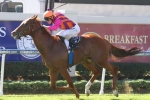 Sydney trip on the cards for Adebisi