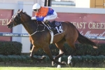 Traveston Girl on target for Magic Millions Trophy