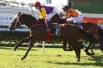Le Val Racing for Magic Millions Cup Start