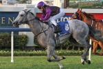 Winter Target For The White Hope To Be Decided After Bribie Handicap