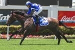 Question Mark Over 2015 Magic Millions Classic Runners