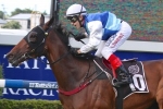 Recognition Stakes Winner Rudy Likely To Remain In Brisbane