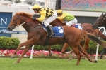 Big Money can get the money in George Moore Stakes