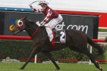 Caulfield Cup Tilt Likely For Tinto