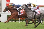 Quintessential survives protest to win Eagle Farm Cup