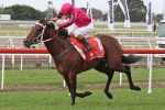Sizzling Chasing First Sydney Victory In The Bill Ritchie Handicap