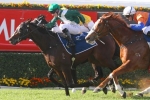 Cox Plate The Spring Target For Almalad