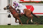 Waller has strong numbers in 2013 Caulfield Cup nominations