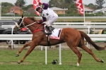 Hawkspur takes out Queensland Derby