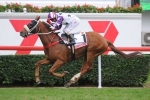 Hawkspur has been Cassidy’s Caulfield Cup hope since Derby win