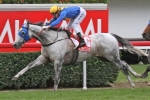 Linton A Chance For Kevin Heffernan Stakes