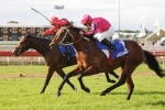 Track on the improve for Doomben Cup day