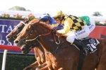Big Money’s odds stay firm in George Moore Stakes
