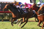 Capacity field for 2015 Cockram Stakes