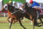 Queensland Cup Trip A Query For The Inventor
