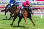 Miss Promiscuity To Debut For Cummings In Creswick Series Final