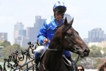 New Lindsay Park partnership has 2 nominations for Aurie’s Star