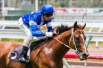 Boss looking for better luck for Nostradamus in Blue Diamond Stakes