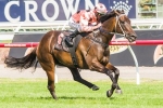 Exceed And Excel Ticks All The Boxes For Black Caviar