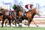 Tivaci Wins CS Hayes Stakes On Protest