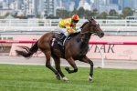 No P.B. Lawrence Stakes for Lankan Rupee