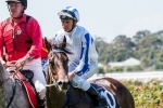 Pasadena Girl top of Champagne Stakes betting