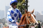 Bring Me The Maid impresses Schofield in Hawkesbury Trial
