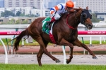 Mouro To Carry Top Weight In Hawkesbury Gold Cup
