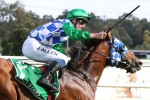 Fifty Stars not going to shine in 2020 Cox Plate