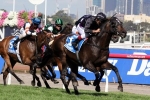 Fiorente A Near Certainty For Ranvet Stakes